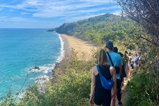 Jungle & Beach: Hidden treasures between the Jungle and the Coast - Jungle & Beach: Hidden treasures between the Jungle and the Coast
