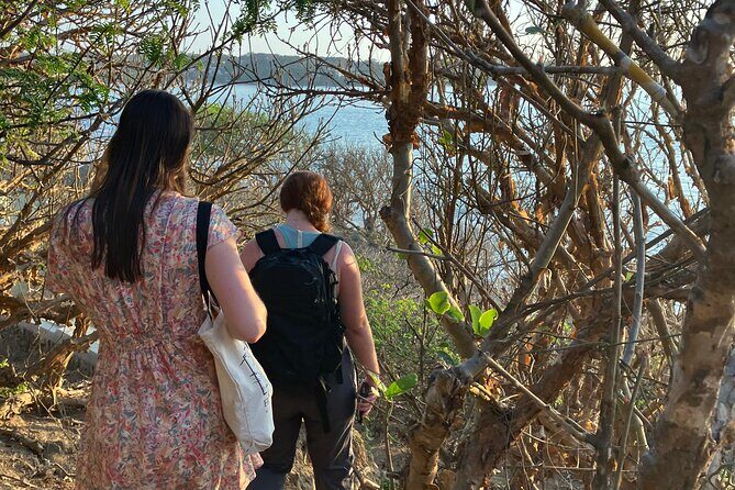 Jungle & Beach: Hidden treasures between the Jungle and the Coast - Final Thoughts