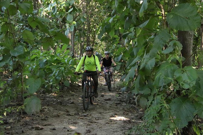 Jungle Bike Tour - Key Points