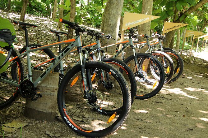 Jungle Bike Tour - Authentic Reviews: What Participants Say