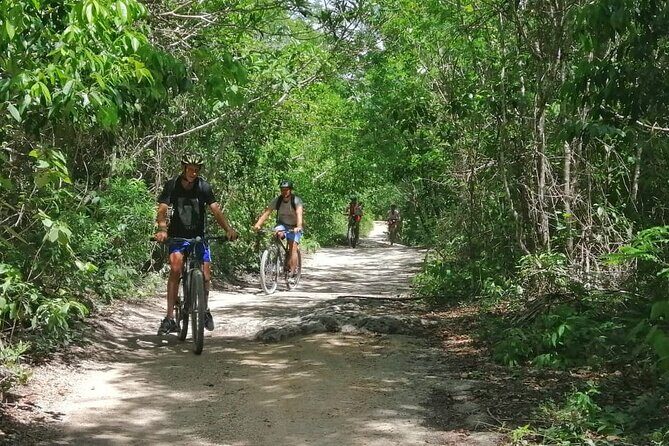 Jungle Bike Tour from Playa del Carmen with Bath in a Cenote - The Itinerary in Detail