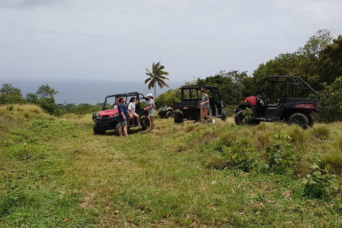 Jungle Bikes Dune Buggy & Beach Tours in St Kitts - What to Expect During the Tour