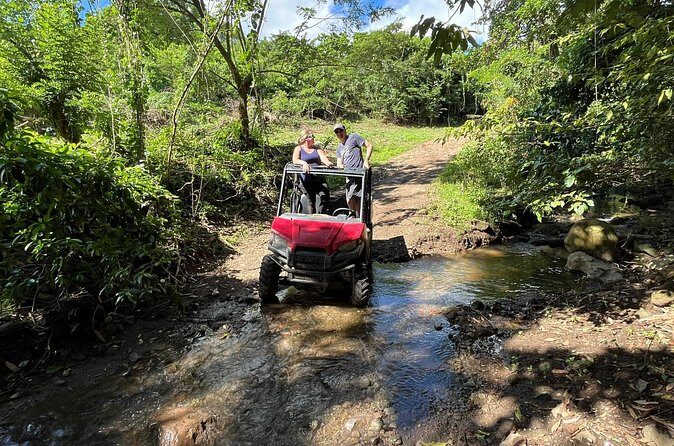 Jungle bikes Dune Buggy - The Sum Up