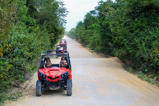 Jungle Buggy Tour from Playa del Carmen Including Cenote Swim - Exploring the Tour in Detail