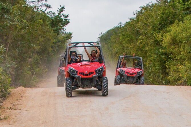 Jungle Buggy Tour from Playa del Carmen Including Cenote Swim - The Sum Up