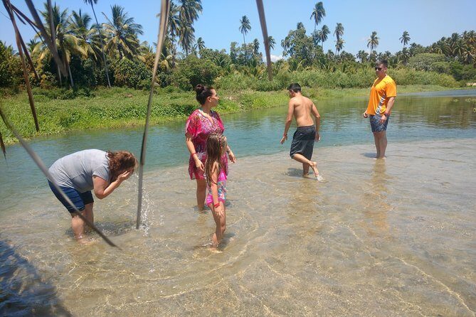 Jungle Coyuca Lagoon Boat Ride Experience & Baby Turtle Release - An Authentic Look at the Coyuca Lagoon Experience