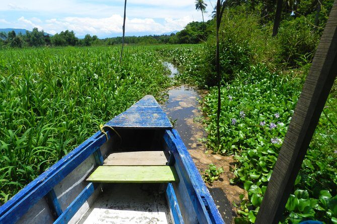 Jungle Coyuca Lagoon Boat Ride Experience & Baby Turtle Release - Transportation and Comfort