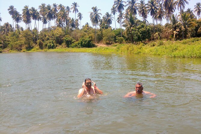 Jungle Coyuca Lagoon Boat Ride Experience & Baby Turtle Release - Pricing and Value
