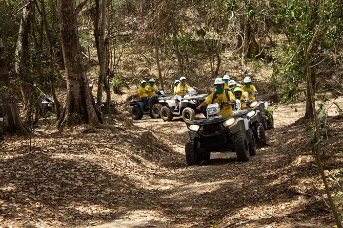 Jungle double ATV Tour "El Mirador" (ride tandem on ATV) - Key Points