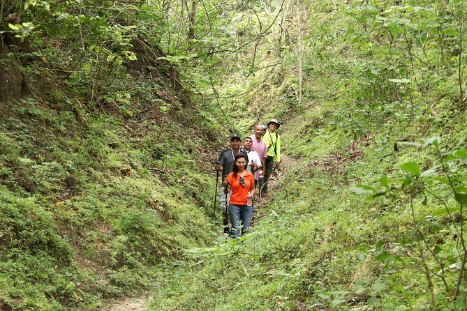 Jungle Hike Tour - Key Points