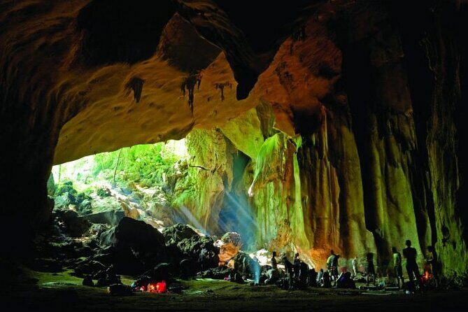 Jungle Odyssey: Unleash Your Adventure in Taman Negara! - Who Will Love This Tour?