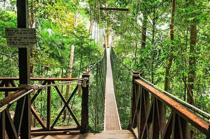 Jungle Odyssey: Unleash Your Adventure in Taman Negara! - FAQ