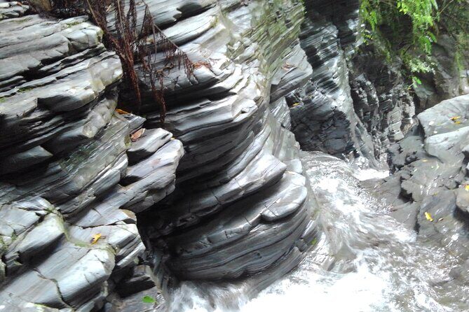 Jungle River Trek: private tour in Yanbaru, north Okinawa - The Experience Through the Eyes of Past Participants