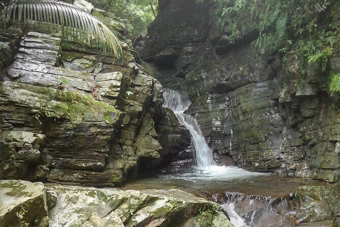 Jungle River Trek: private tour in Yanbaru, north Okinawa - Who Should Consider This Experience?
