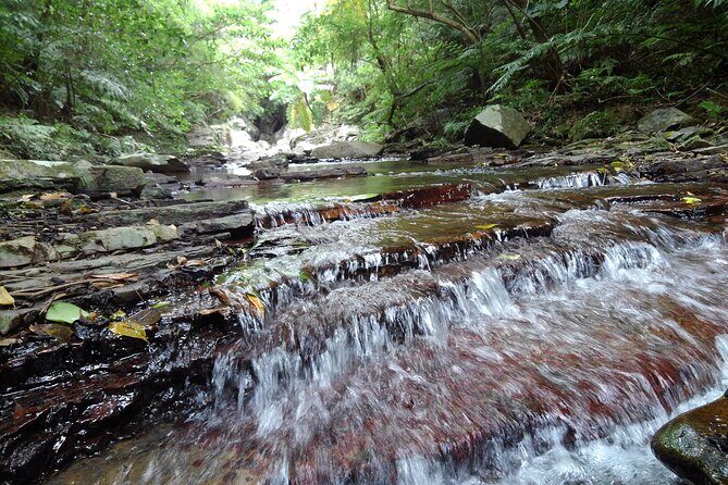 Jungle River Trek: private tour in Yanbaru, north Okinawa - Frequently Asked Questions