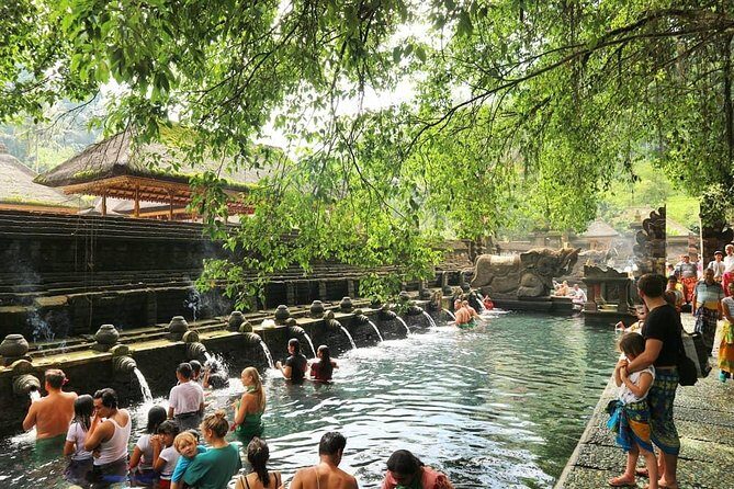 Jungle Swing - Volcano - Water Temple - Monkey Forest and Waterfall Tour - The Experience in Action: What Past Travelers Say
