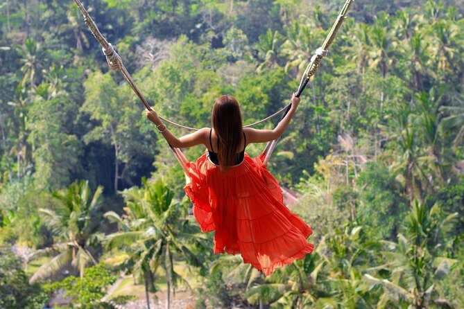 Jungle Swing - Volcano - Water Temple - Monkey Forest and Waterfall Tour - Who Will Love This Tour?