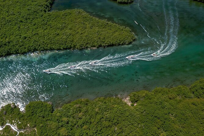 Jungle Tour - A Deep Dive into the Jungle Tour Experience