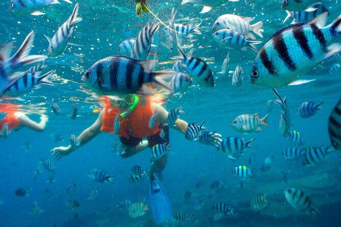 Jungle Tour Adventure in Cancun with Snorkeling - A Detailed Look at the Experience