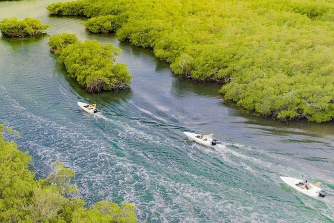 Jungle Tour - Mangroves & Snorkel (Couples) - FAQ