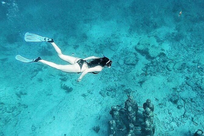 Jungle Tour - Mangroves & Snorkel For Couples - Who Should Consider This Tour?
