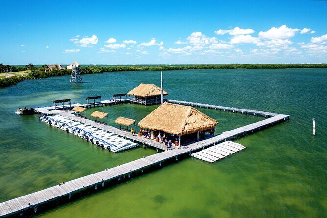 Jungle Tour Puerto Maya in Cancun - The Practical Side: Transportation & Group Size