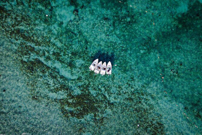 Jungle Tour & Snorkel at Punta Nizuc Reef , Underwater museum - The Itinerary in Detail: What You Can Expect