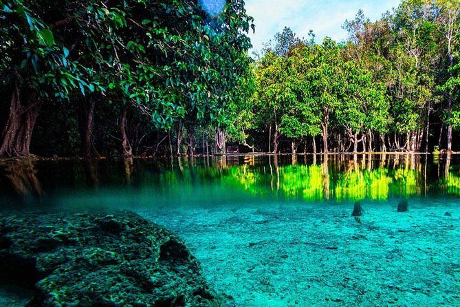 Jungle Tour to Emerald Pool, Krabi Hot Spring and Tiger Cave Temple - An In-Depth Look at the Tour Experience