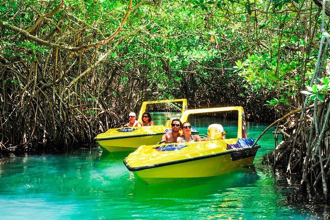 Jungle Tour with Snorkel in Cancun - What the Experience Means for You