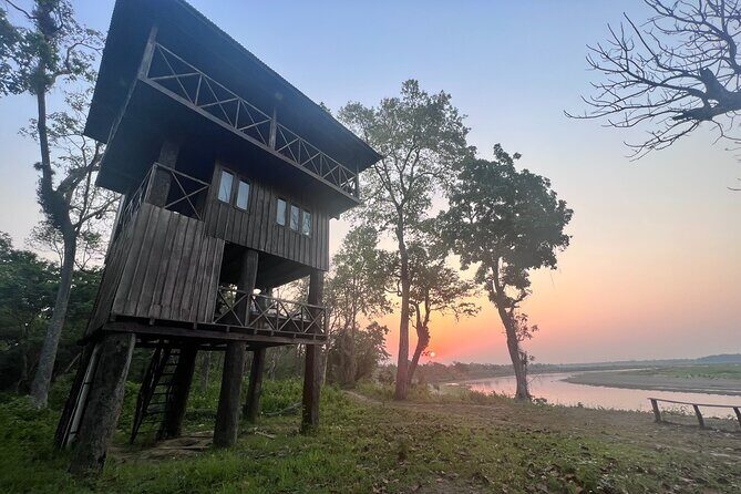 Jungle Towernight Stay: 4-Day Tour in Chitwan National Park - Key Points
