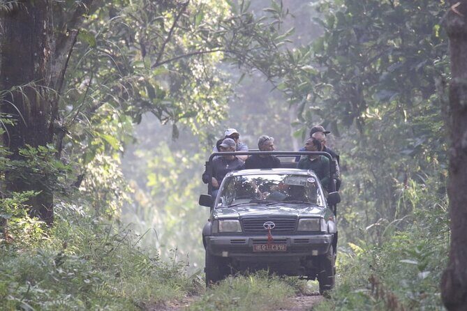 Jungle Towernight Stay: 4-Day Tour in Chitwan National Park - Authentic Insights from Reviews