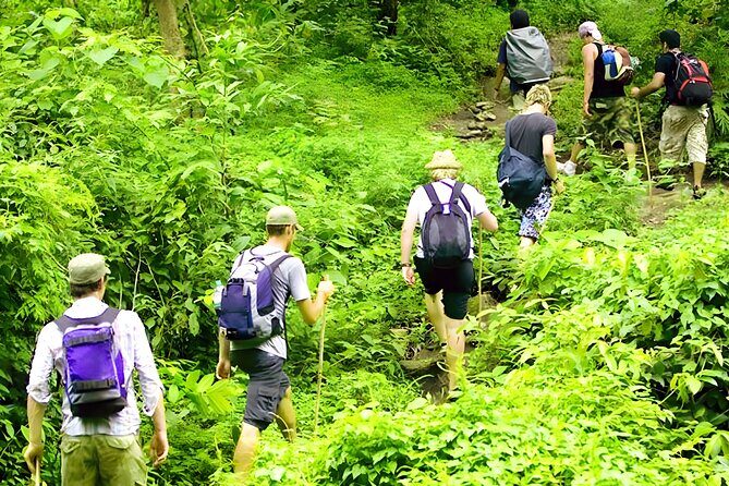 Jungle Trekking and Tamblingan Lake Canoeing in Bali Rainforest - Who Should Consider This Tour?