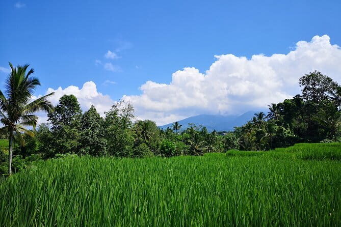 Jungle Trekking at Mt. Batukaru, scenic Waterfall & village life - Visiting the Sacred Luhur Batukaru Temple