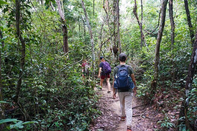Jungle Trekking Tour at Phnom Kulen National Park from Siem Reap - A Deep Dive Into the Experience