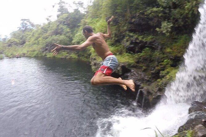 Jungle Waterfall Adventure on Maui - The Itinerary: What to Expect