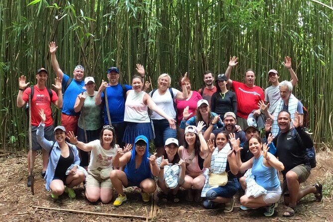 Jungle Waterfall Adventure on Maui - The Sum Up: Is This Tour Right for You?