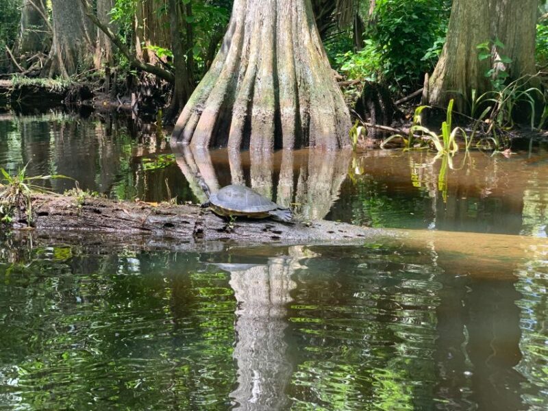 Jupiter: Wild and Scenic Loxahatchee River Kayak Tour - Key Points