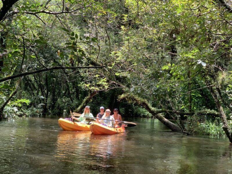 Jupiter: Wild and Scenic Loxahatchee River Kayak Tour - An Authentic Florida Adventure