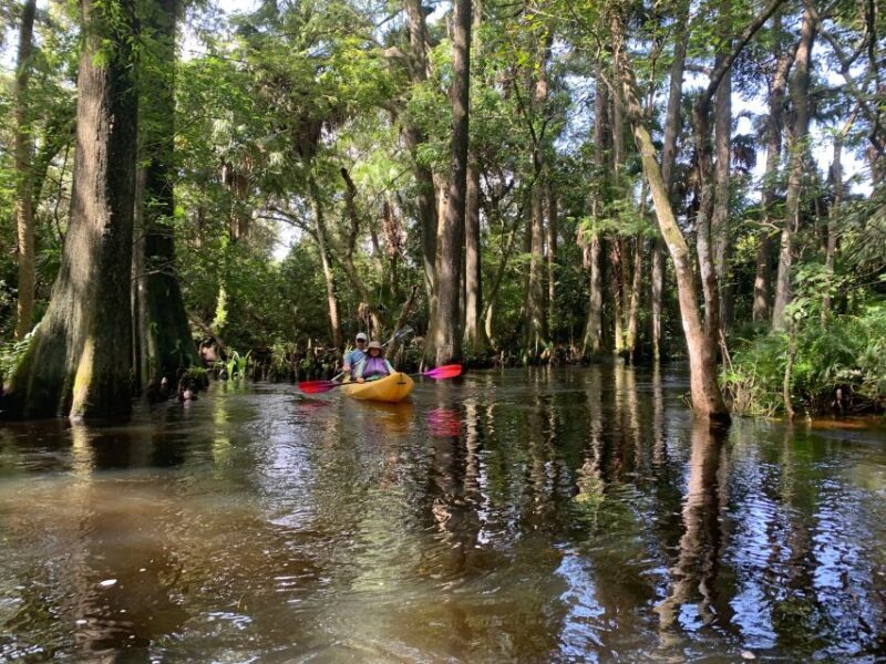 Jupiter: Wild and Scenic Loxahatchee River Kayak Tour - The Experience and the Value