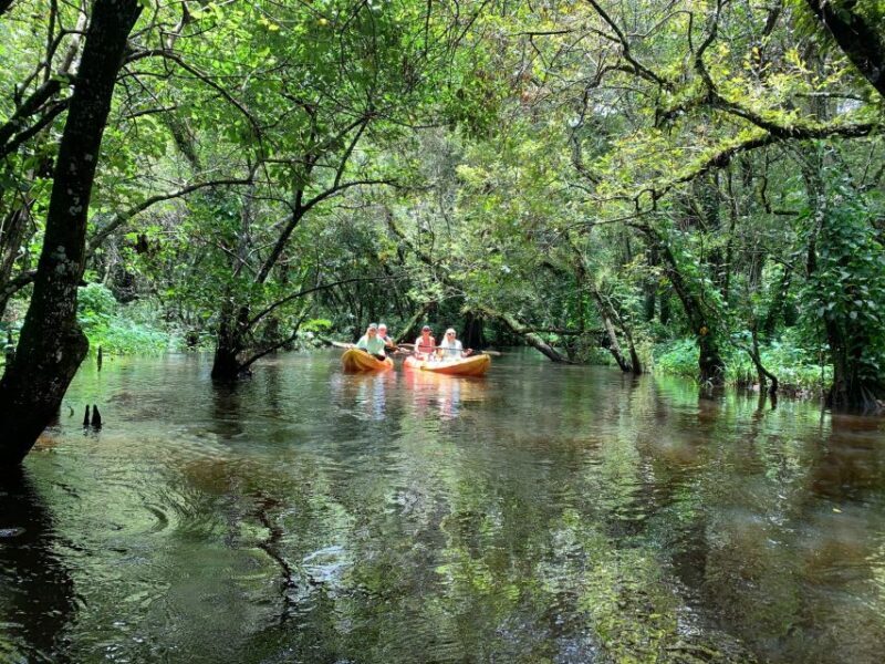 Jupiter: Wild and Scenic Loxahatchee River Kayak Tour - Why This Tour Works