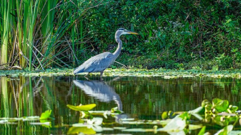Jupiter: Wild and Scenic Loxahatchee River Kayak Tour - Who Should Consider This Tour?