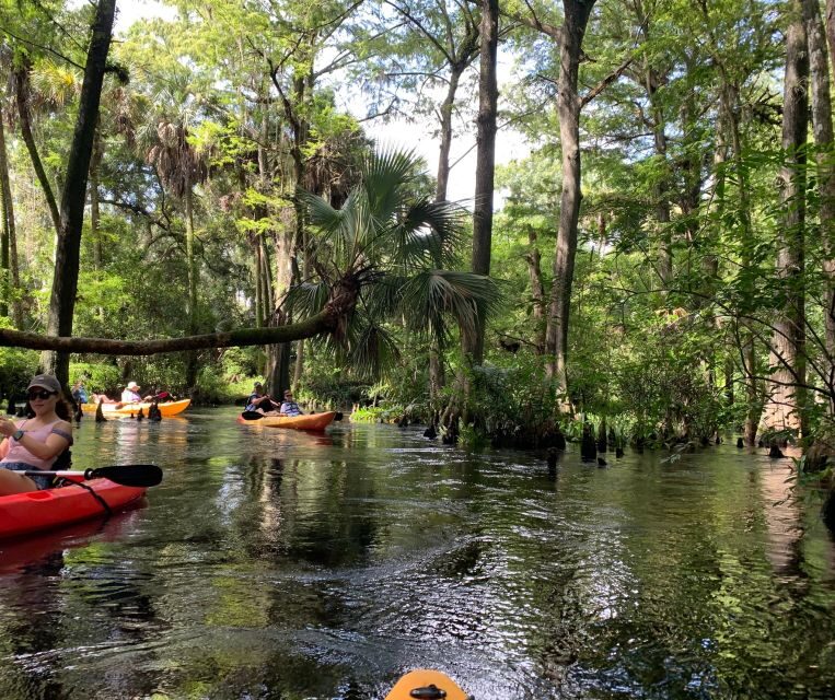 Jupiter: Wild and Scenic Loxahatchee River Kayak Tour - Final Thoughts