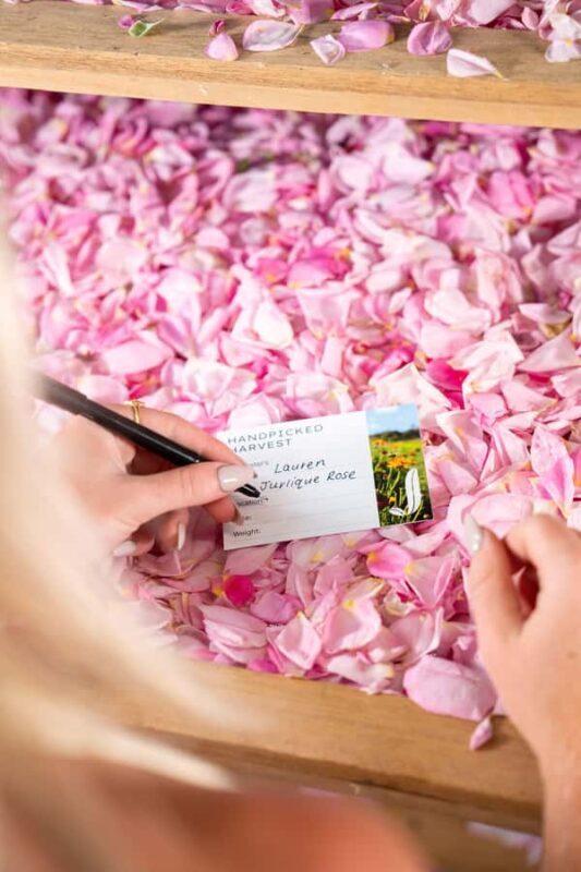 Jurlique Handpicked Masterclass - Exploring the Jurlique Handpicked Masterclass in Detail