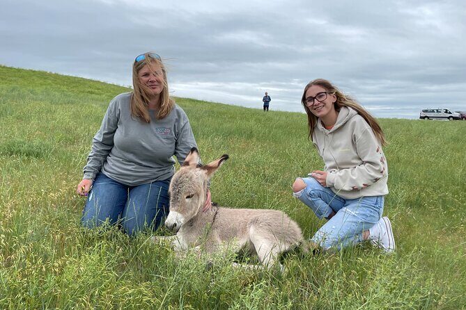 Just You & Your Group: Rushmore, Custer State Park & Crazy Horse - The Sum Up