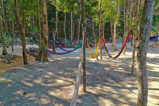 Kaan Luum & Cenotes Mayan Traditions - Who Will Love This Tour?