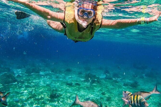 Kaan Luum Lagoon and Cenote Snorkel Tour in Tulum - Overview of the Tour Experience