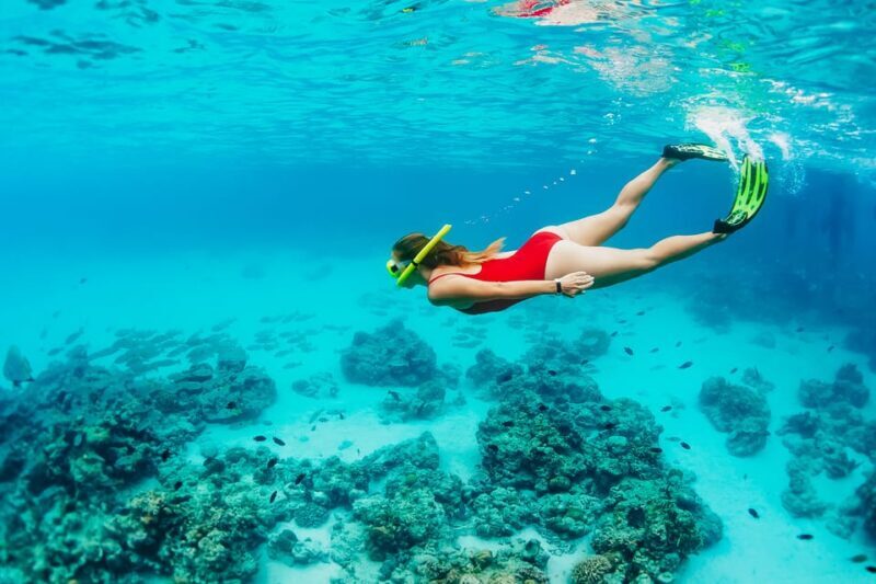 Ka'anapali Beach: Coral Reef Snorkel and Turtle Spotting - The Sum Up