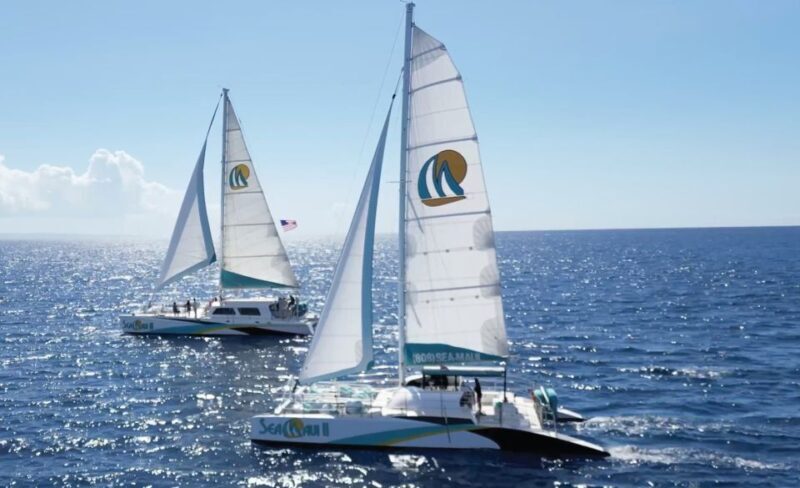 Kaanapali: Whale Watching Cruise with Open Bar - FAQ