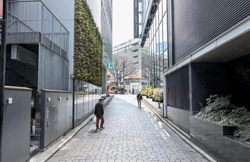 Kabukicho Macabre Tour - the Real Tokyo Vice - An In-Depth Look at the Experience