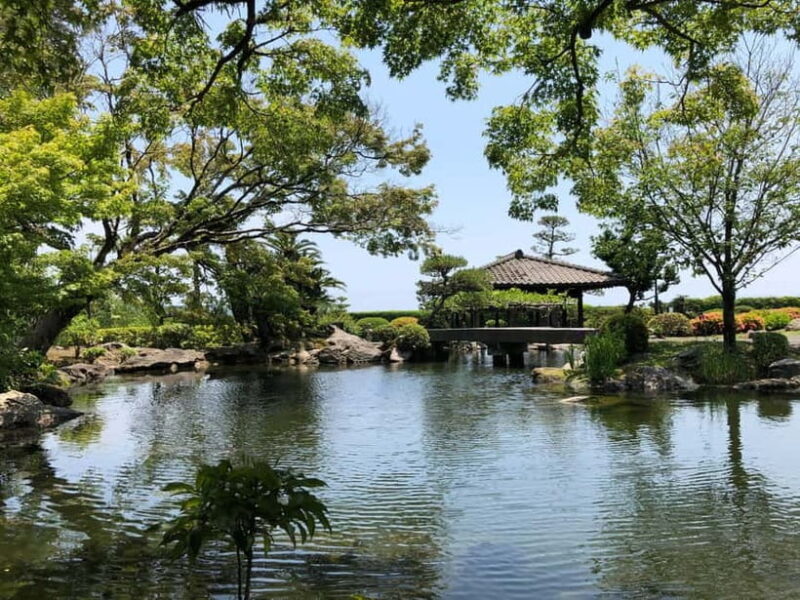 Kagoshima: A Journey Through the Beauty and Tradition - Review Highlights and Traveler Feedback